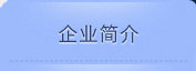 企业简介
