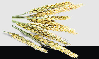 南宫NG·28(中国)相信品牌力量有限公司