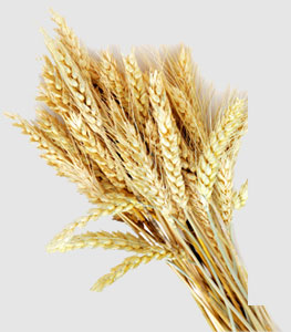 南宫NG·28(中国)相信品牌力量有限公司