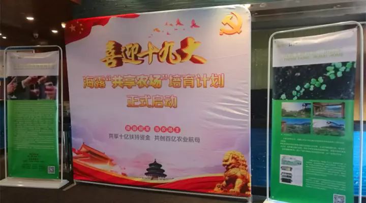 南宫NG·28(中国)相信品牌力量有限公司