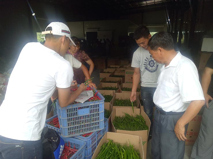 南宫NG·28(中国)相信品牌力量有限公司