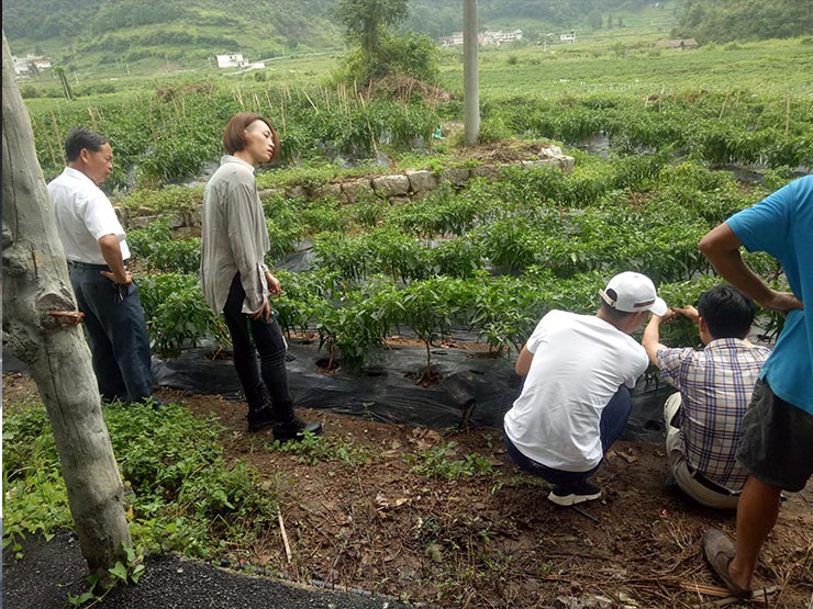 南宫NG·28(中国)相信品牌力量有限公司