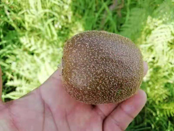 南宫NG·28(中国)相信品牌力量有限公司