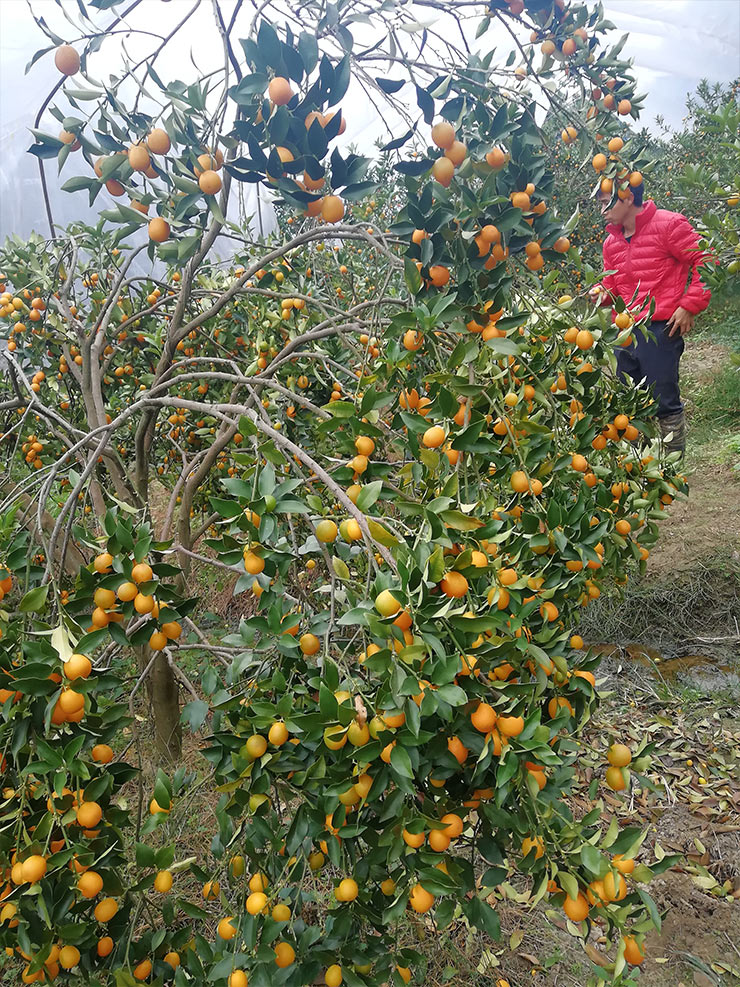 南宫NG·28(中国)相信品牌力量有限公司