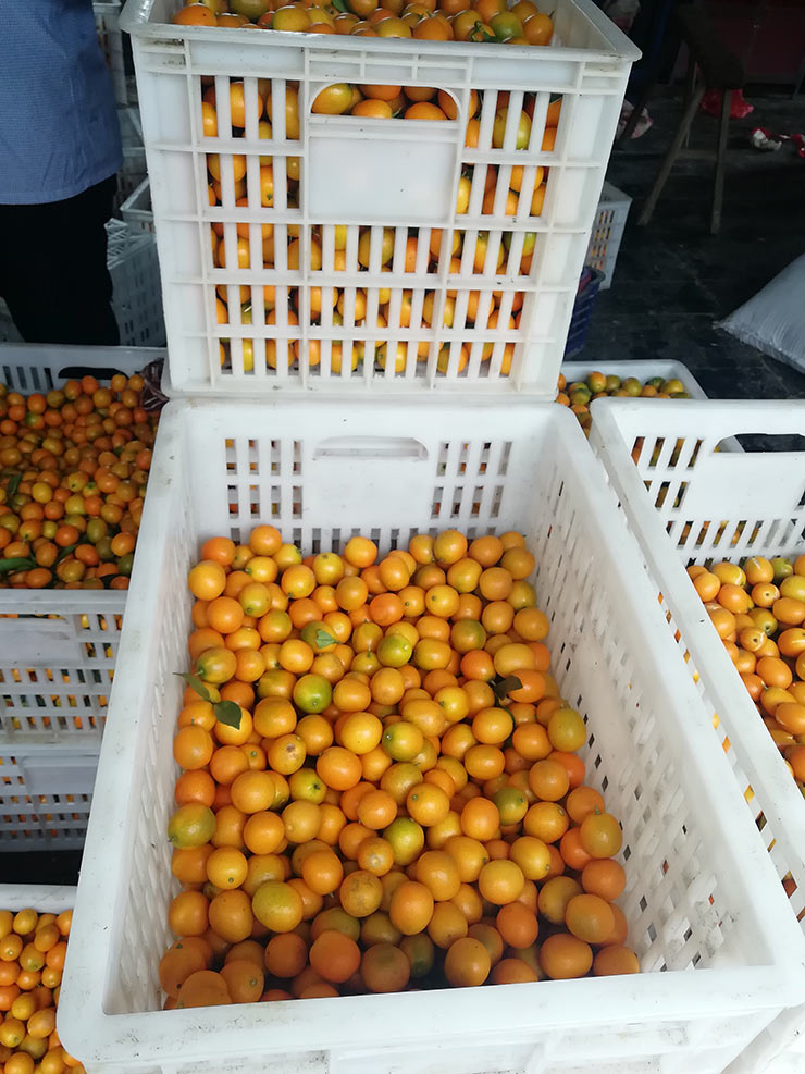 南宫NG·28(中国)相信品牌力量有限公司