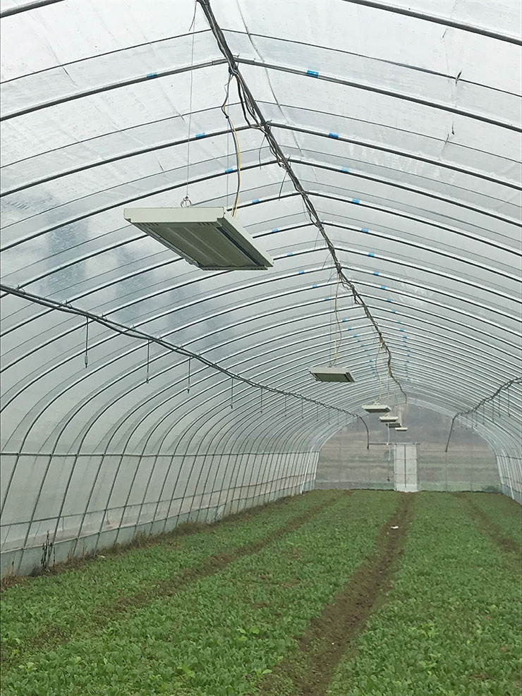 南宫NG·28(中国)相信品牌力量有限公司