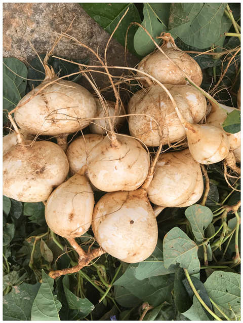 南宫NG·28(中国)相信品牌力量有限公司