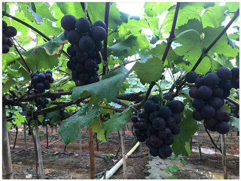 南宫NG·28(中国)相信品牌力量有限公司