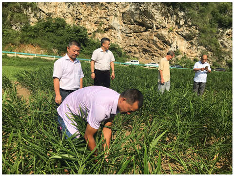 南宫NG·28(中国)相信品牌力量有限公司