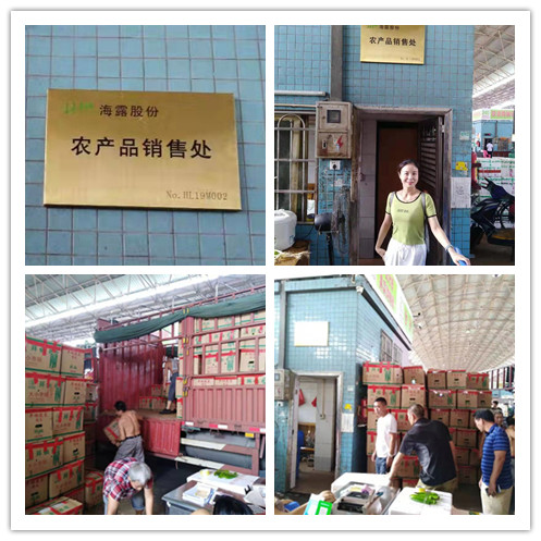 南宫NG·28(中国)相信品牌力量有限公司