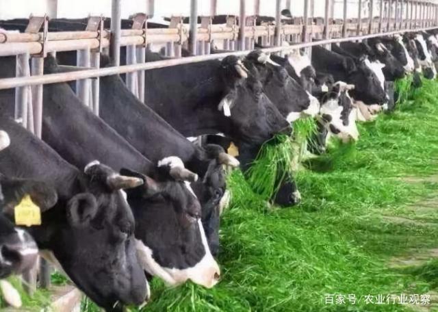 南宫NG·28(中国)相信品牌力量有限公司