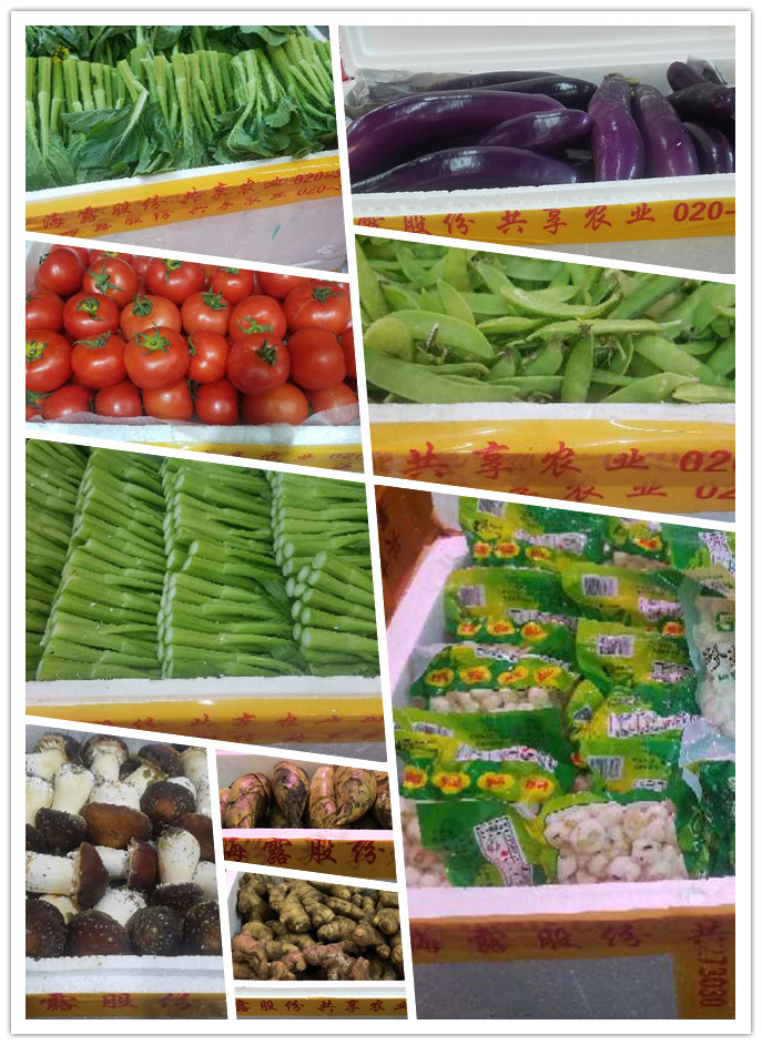 南宫NG·28(中国)相信品牌力量有限公司