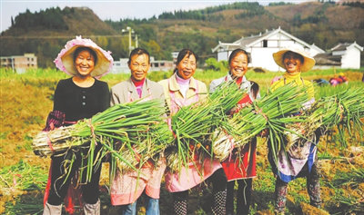 南宫NG·28(中国)相信品牌力量有限公司