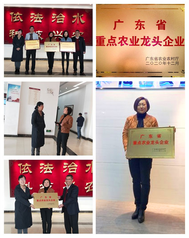 南宫NG·28(中国)相信品牌力量有限公司