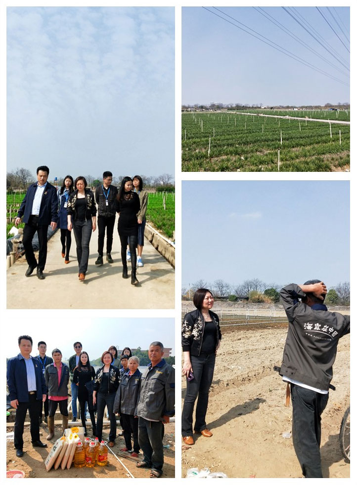 南宫NG·28(中国)相信品牌力量有限公司