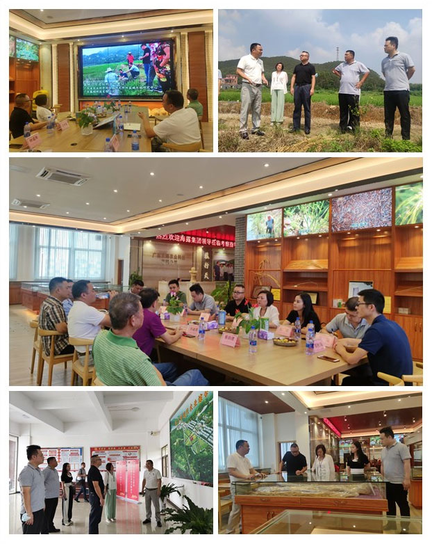 南宫NG·28(中国)相信品牌力量有限公司