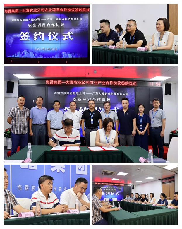 南宫NG·28(中国)相信品牌力量有限公司