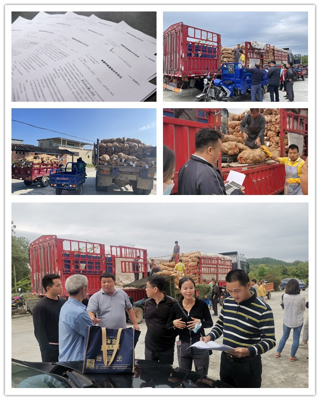 南宫NG·28(中国)相信品牌力量有限公司