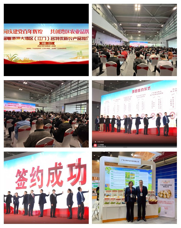 南宫NG·28(中国)相信品牌力量有限公司