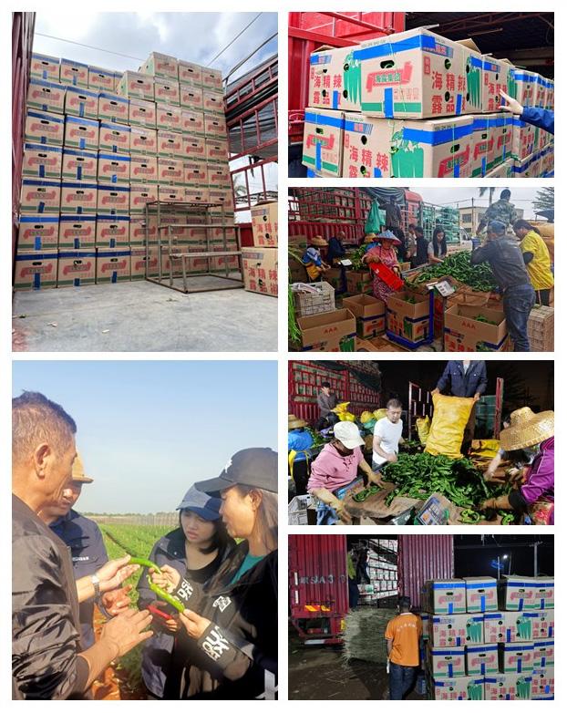 南宫NG·28(中国)相信品牌力量有限公司