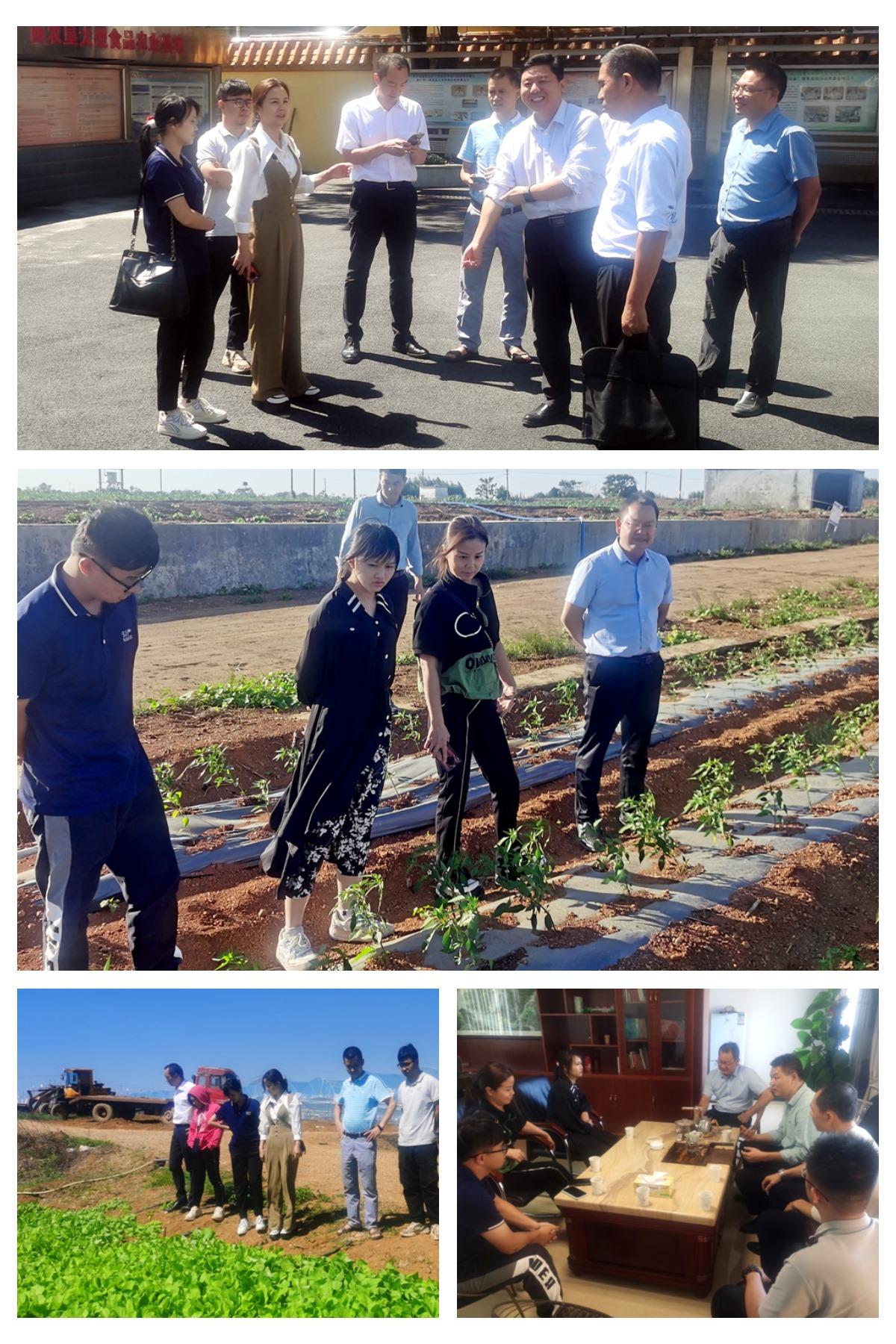 南宫NG·28(中国)相信品牌力量有限公司