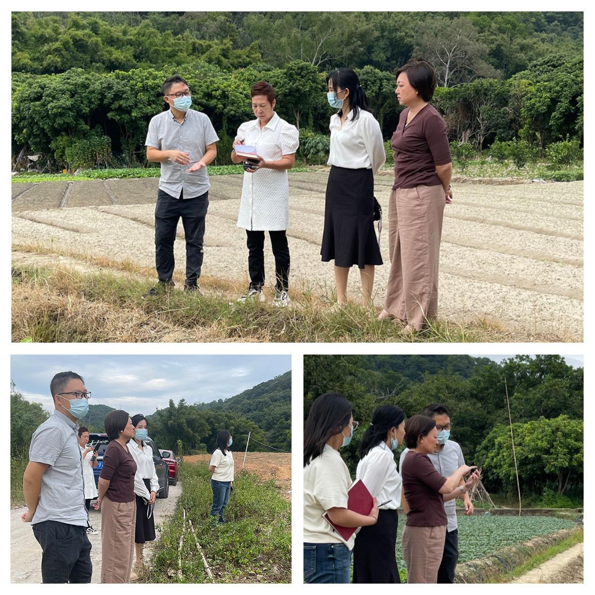 南宫NG·28(中国)相信品牌力量有限公司