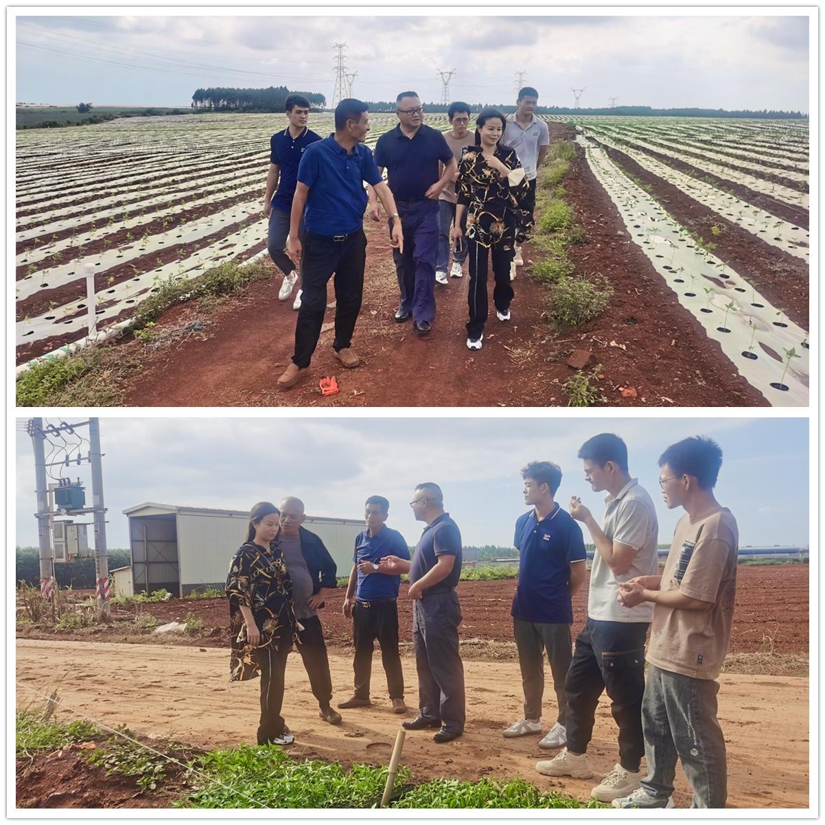 南宫NG·28(中国)相信品牌力量有限公司