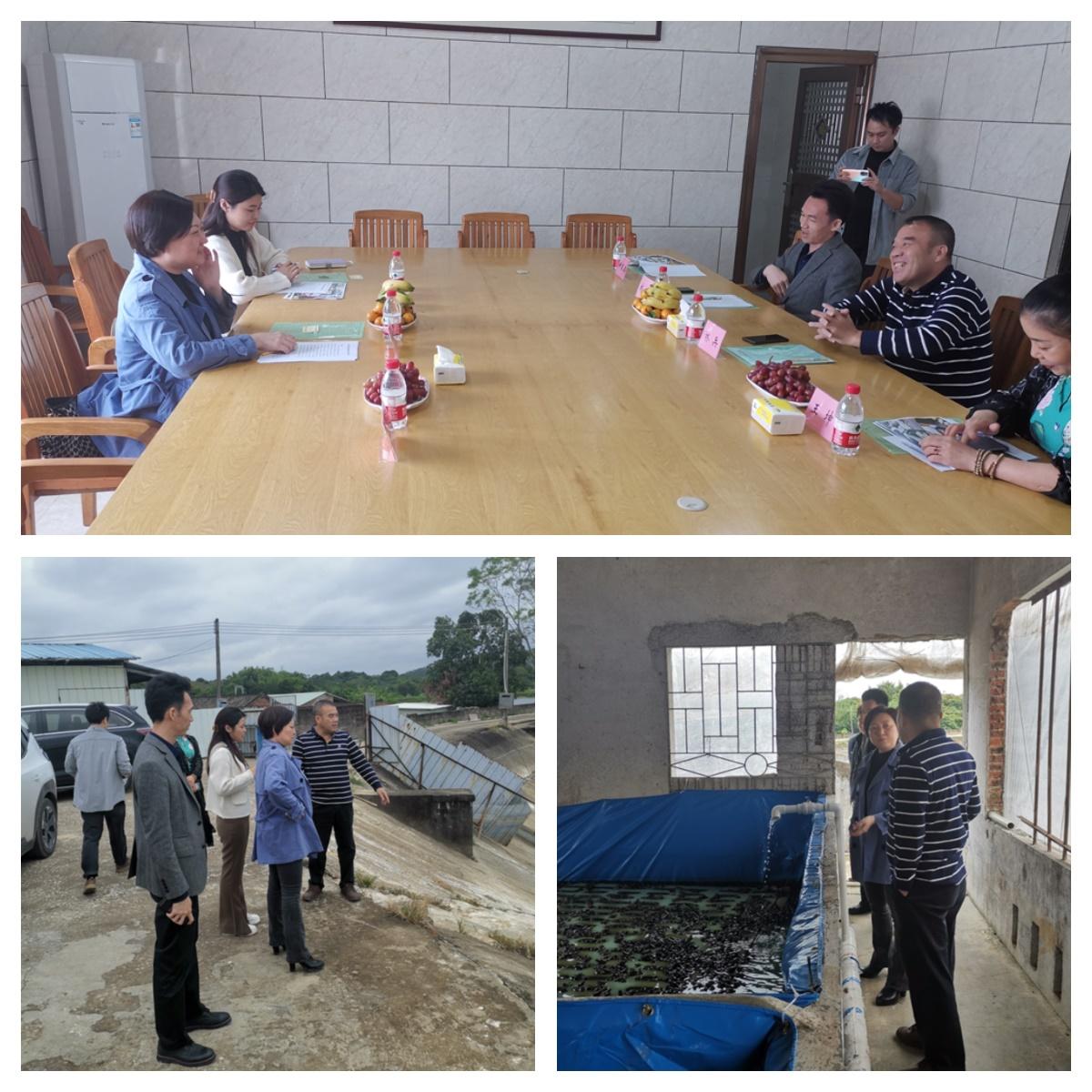 南宫NG·28(中国)相信品牌力量有限公司