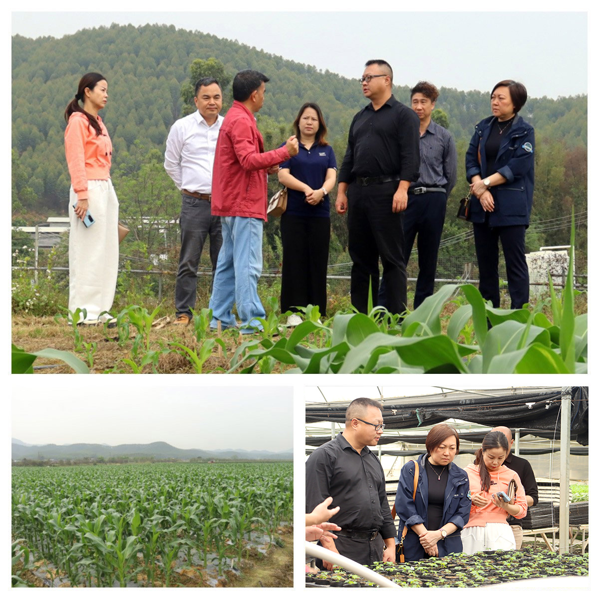 南宫NG·28(中国)相信品牌力量有限公司