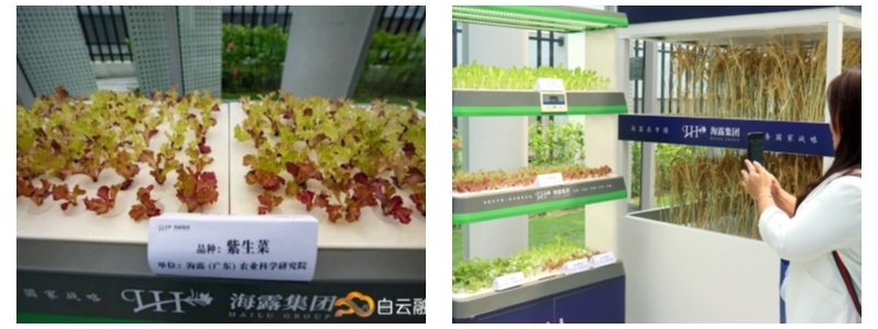 南宫NG·28(中国)相信品牌力量有限公司