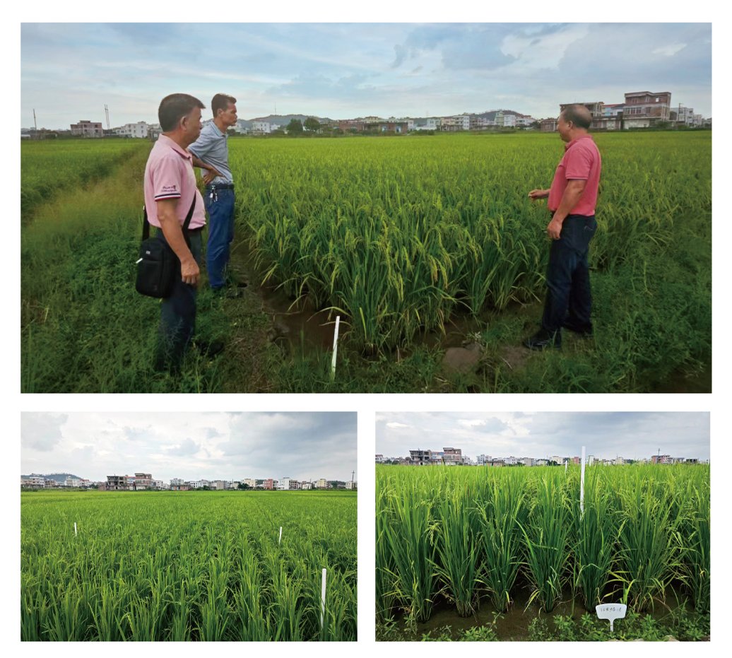 南宫NG·28(中国)相信品牌力量有限公司