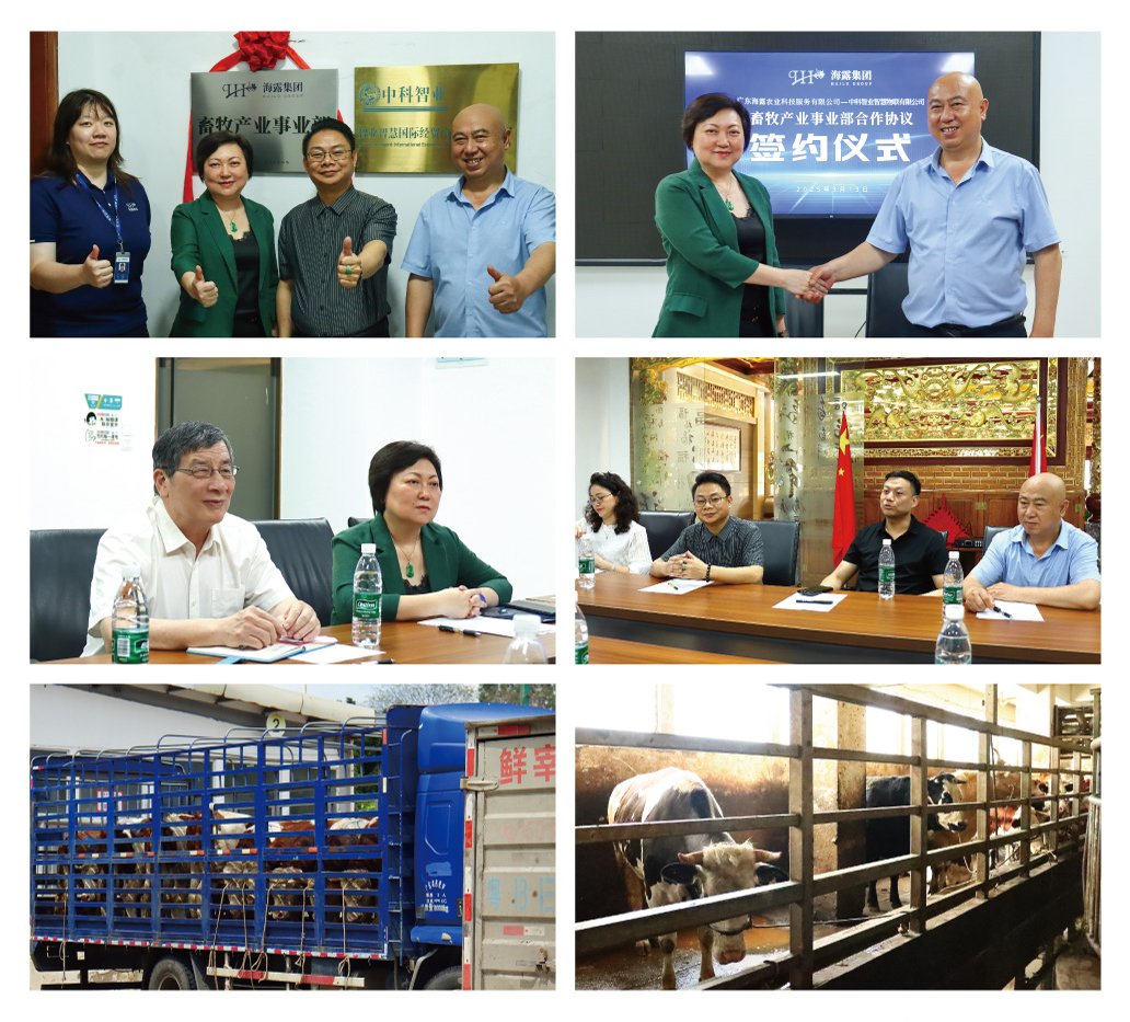 南宫NG·28(中国)相信品牌力量有限公司