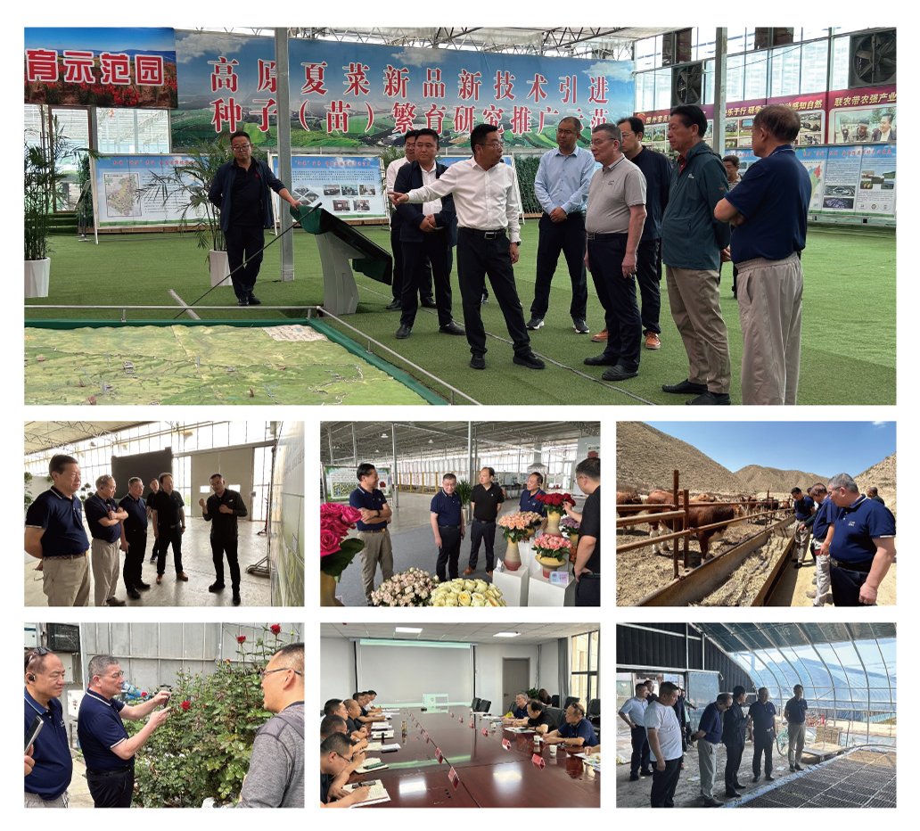 南宫NG·28(中国)相信品牌力量有限公司