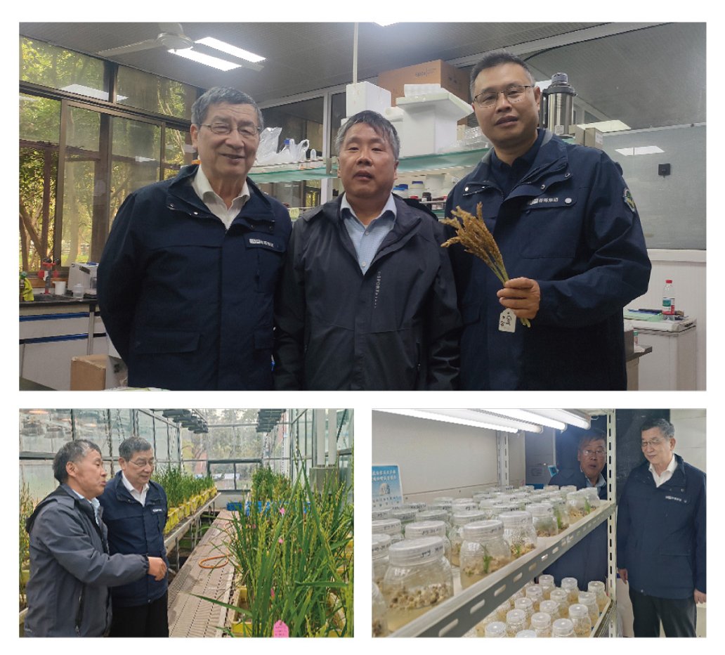 南宫NG·28(中国)相信品牌力量有限公司